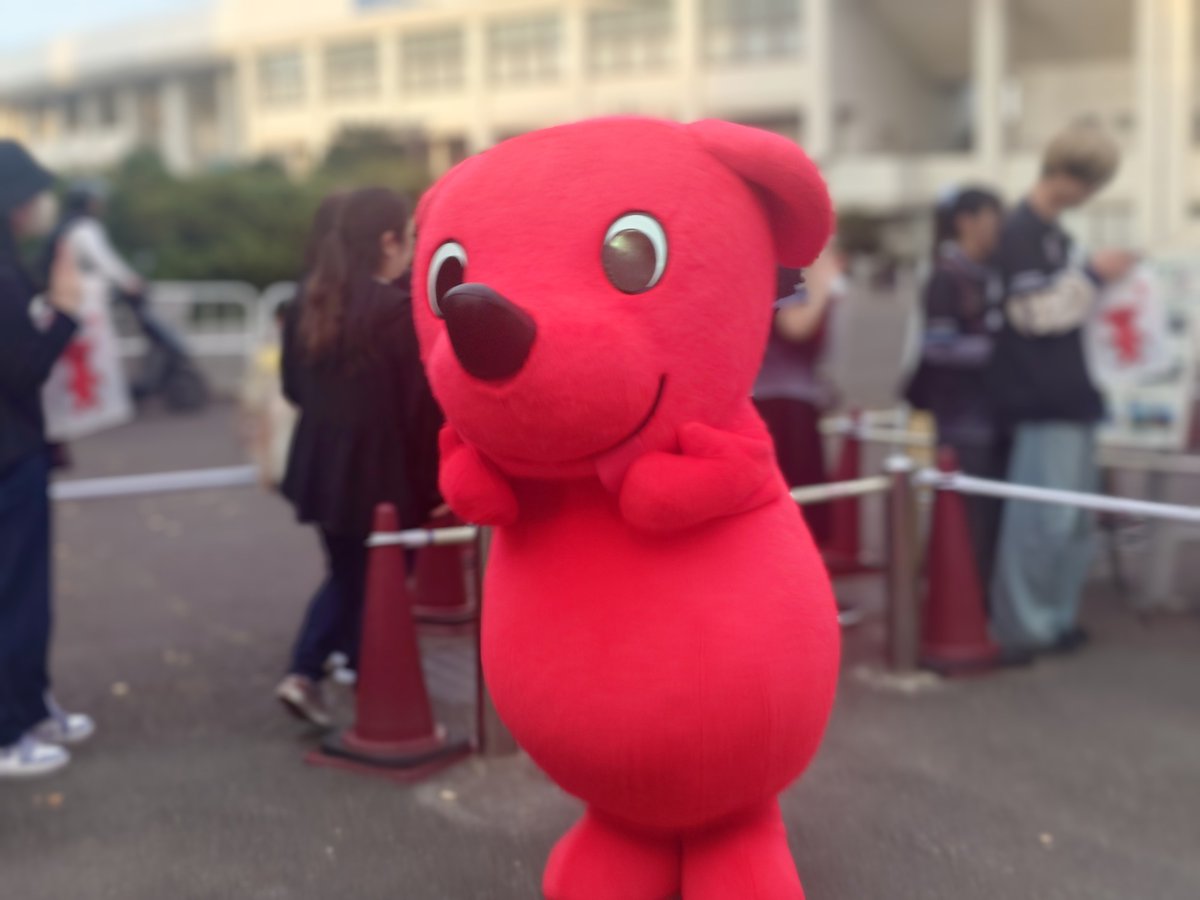 nsssss511's tweet photo. 今日会えて嬉しかった犬 https://t.co/Yd6hoapRDL