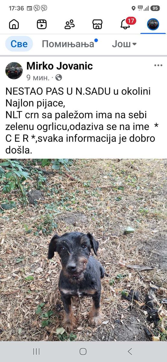 Tankih_nerava's tweet photo. Sve informacije javiti na broj 063 549 139 RT https://t.co/YQrpiabZsV