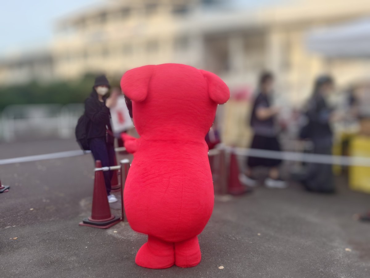 nsssss511's tweet photo. 今日会えて嬉しかった犬 https://t.co/Yd6hoapRDL