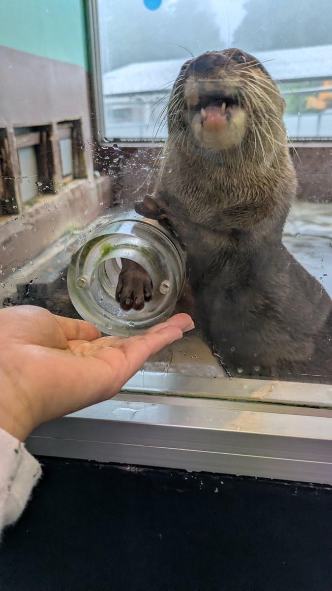 chikuwaaa321's tweet photo. 箱根園水族館 https://t.co/m2Oh5raABW