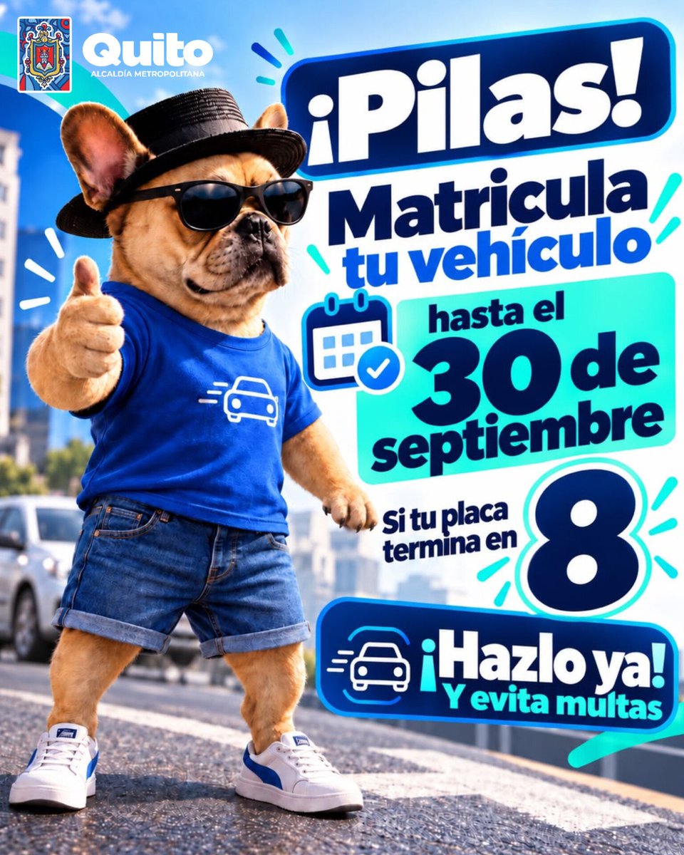 AMT_Quito's tweet photo. 🚗 #AMTInforma | ¡Pilas!

🔢 Si tu placa termina en 8, tienes hasta el 30 de septiembre para matricular tu vehículo.

⏰ No lo dejes para el final. ¡Hazlo ya y evita multas!

📲 Planifica tu trámite con tiempo. https://t.co/j96xrrDEYp