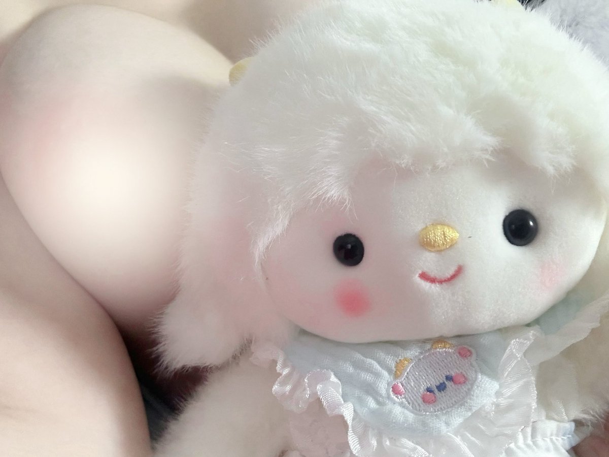 Xyukitten's tweet photo. 我的小小床伴•ᴗ• https://t.co/Tgsf2Ns59P
