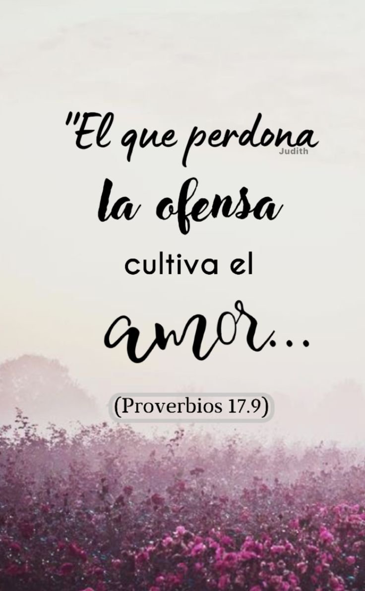 MaryNavas11's tweet photo. Cuando el perdón va acompañado de amor y respeto, 
se logran grandes milagros. 

Gracia y Paz para cada uno, bendiciones grandemente.
🫶 https://t.co/6OdXs0ZTNn