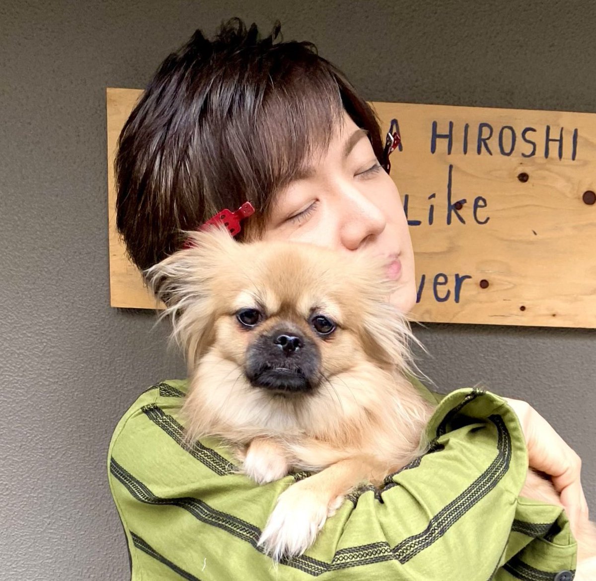 memoryHT's tweet photo. @takeshima_staff ワックスフラワー
花言葉は「気まぐれ」

デイジー🌼可愛すぎ✨
でも、そのきまぐれさで、
宏くんを癒してるのネ😉👍💕
これからも宜しくお願いしますネ🙏

先程は、素敵なレッス���画像を
ありがとう😌💕
努力家、宏くん‼️
長年推してきて、間違いはなかった❗
でも、身体だけは気を付けて下さいネ🙏 https://t.co/17SKYxHaPk