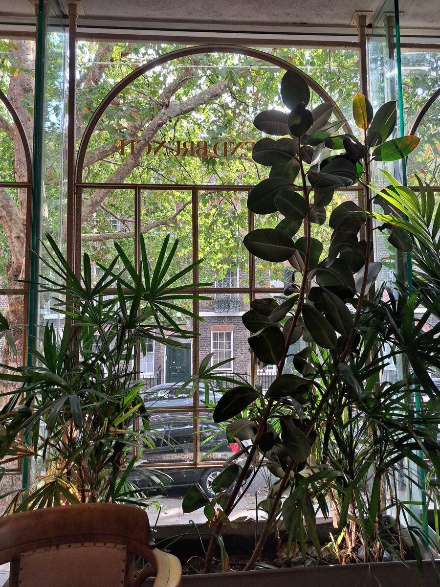 AuthorTracyRees's tweet photo. A most enjoyable lunch today with lovely @LindaWilgus1 and a long overdue catchup. We went to Bloomsbury for a suitably literary, leafy setting. Good to talk books, publishing, life and love #authorlife #books #friends #publishing https://t.co/ilEZVztWqO