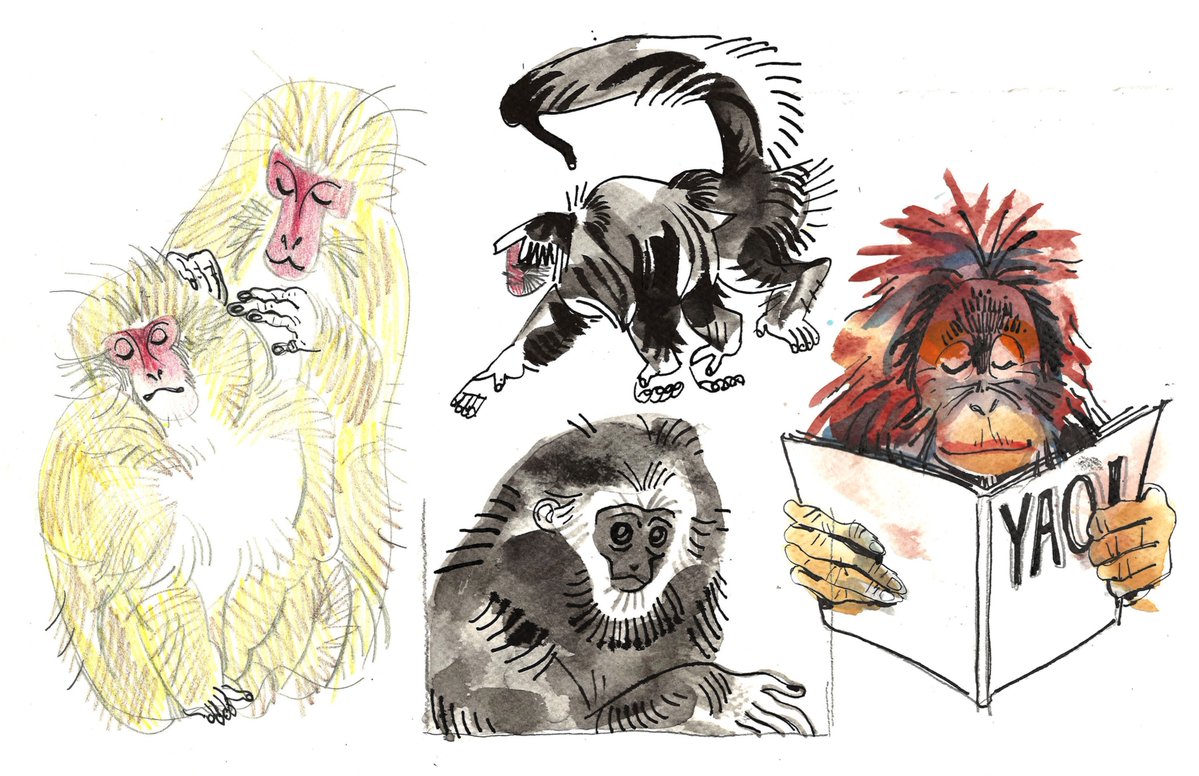 stiinken's tweet photo. monkeys in my sketchbook https://t.co/evItP3ZwD0