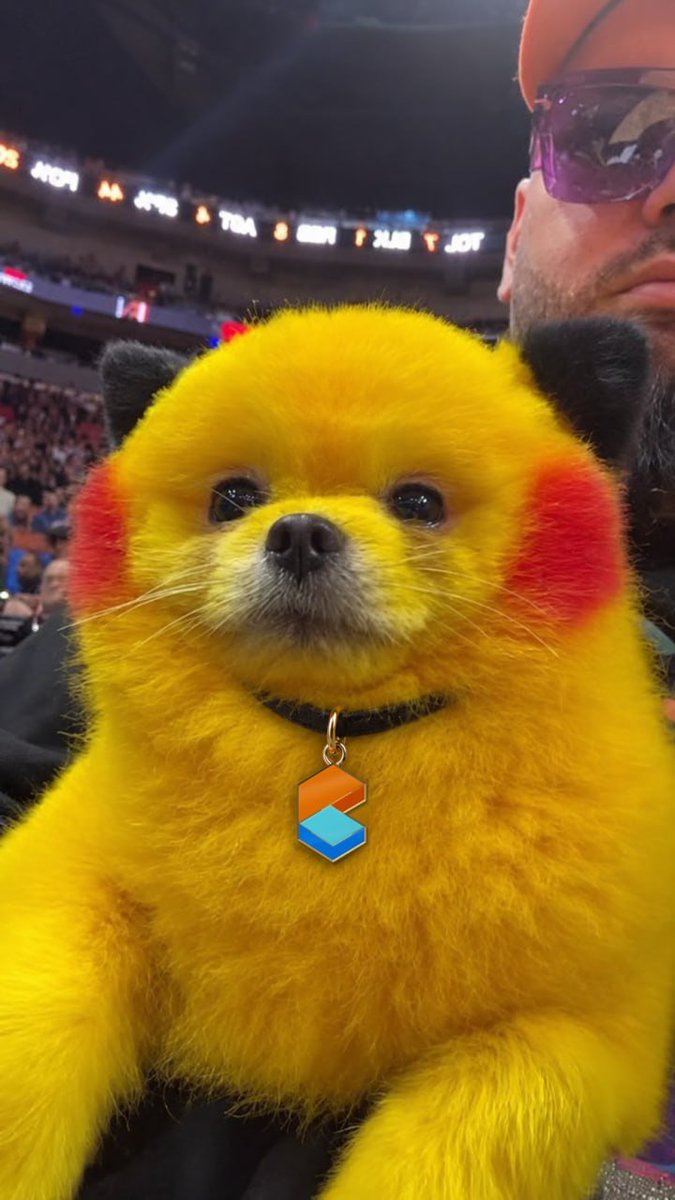 GnomeBets's tweet photo. Hey @RektUSD, good to see you active again! :))

Let me introduce you to ZAZA - @Zaza_Pikachu the world famous Pikachu Dog ⚡️

🐕 Real dog, real viral story ⚡ Pokémon energy 🃏  Hold $ZAZA, earn $CARDS 🎮 ZAZA World, a free pixel game, in the works

1/14 https://t.co/BBRHOkxLXA