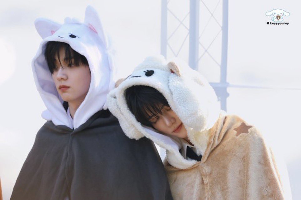 muze0m's tweet photo. 근데 둘이 유일하게 그림체 맞는 캐릭도 그렇고
뭔가… 정말로 뭔가가 숨겨져있는 것 같음
본인 모에화되는 늑끼 이런거 다 버리고
사모예드? 갑자기 개? 이건 뭐… 스껄할래랑 같은 급 https://t.co/o8CpMnUhU1