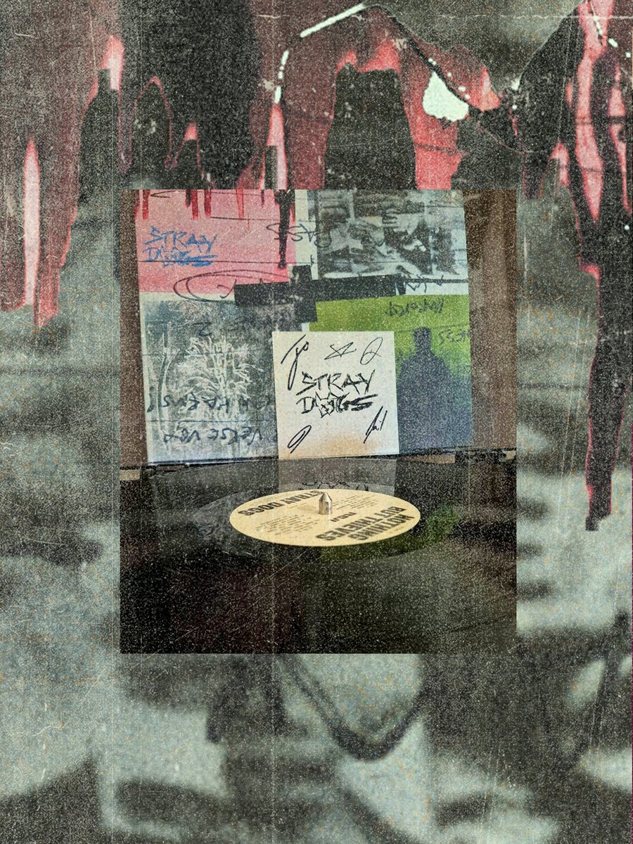 NBThieves's tweet photo. :: Join The Pack. Stray Dogs out now
https://t.co/gA3NnQuSS1 :: https://t.co/X6kjcWRgmO