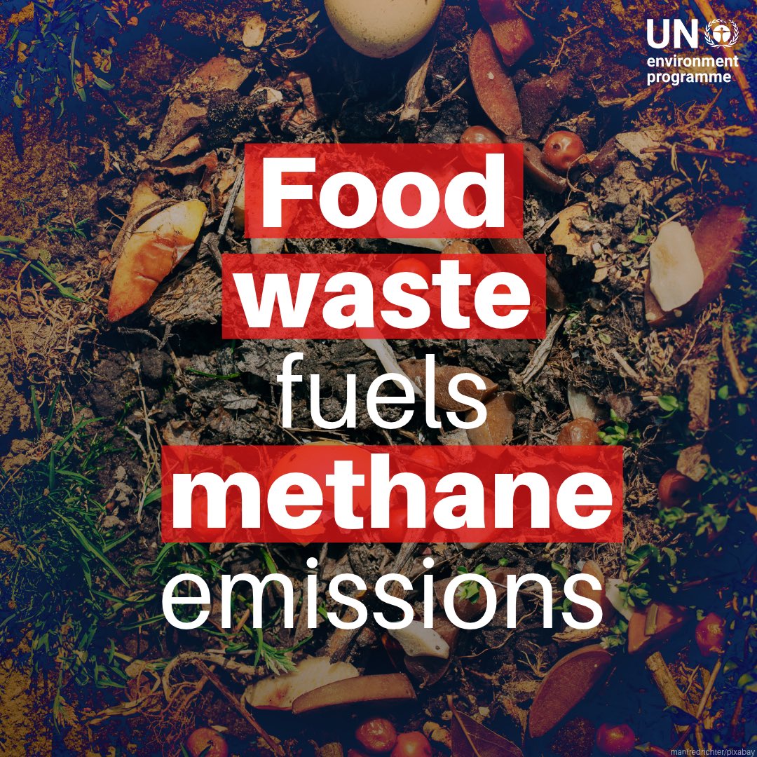 UNEP's tweet photo. Food waste fuels methane emissions. 
When food ends up in landfills, it breaks down and releases methane, a powerful greenhouse gas that drives global warming. 

#StopFoodLossWaste can help cut methane emissions while saving food, money and valuable resources.

Today is #FLWDay: https://t.co/IHG9Df5cE3