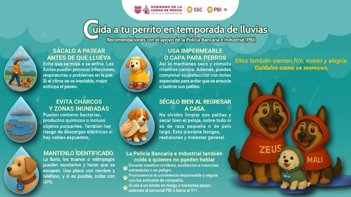 PBI_SSC's tweet photo. 🐶☔ La #PBI de la @SSC_CDMX te invita a seguir estas recomendaciones para cuidar a tus animales de compañía durante la temporada de lluvias. Su bienestar también es nuestra prioridad. #SiempreAlerta https://t.co/owEnkOIkLC