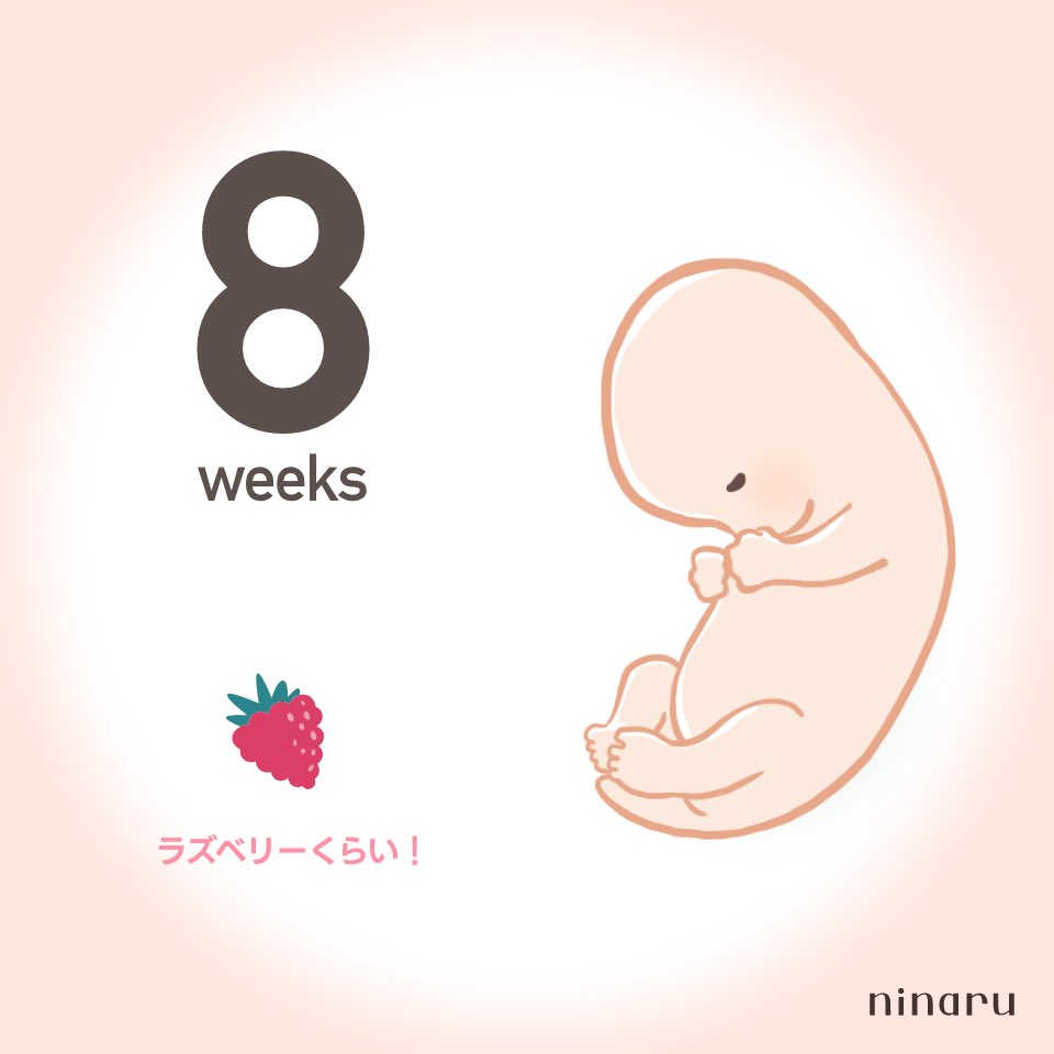 si__no7's tweet photo. 今日で8w👶🏻🎶大っきくなってますように…🤍 https://t.co/K46ZlqMUe0