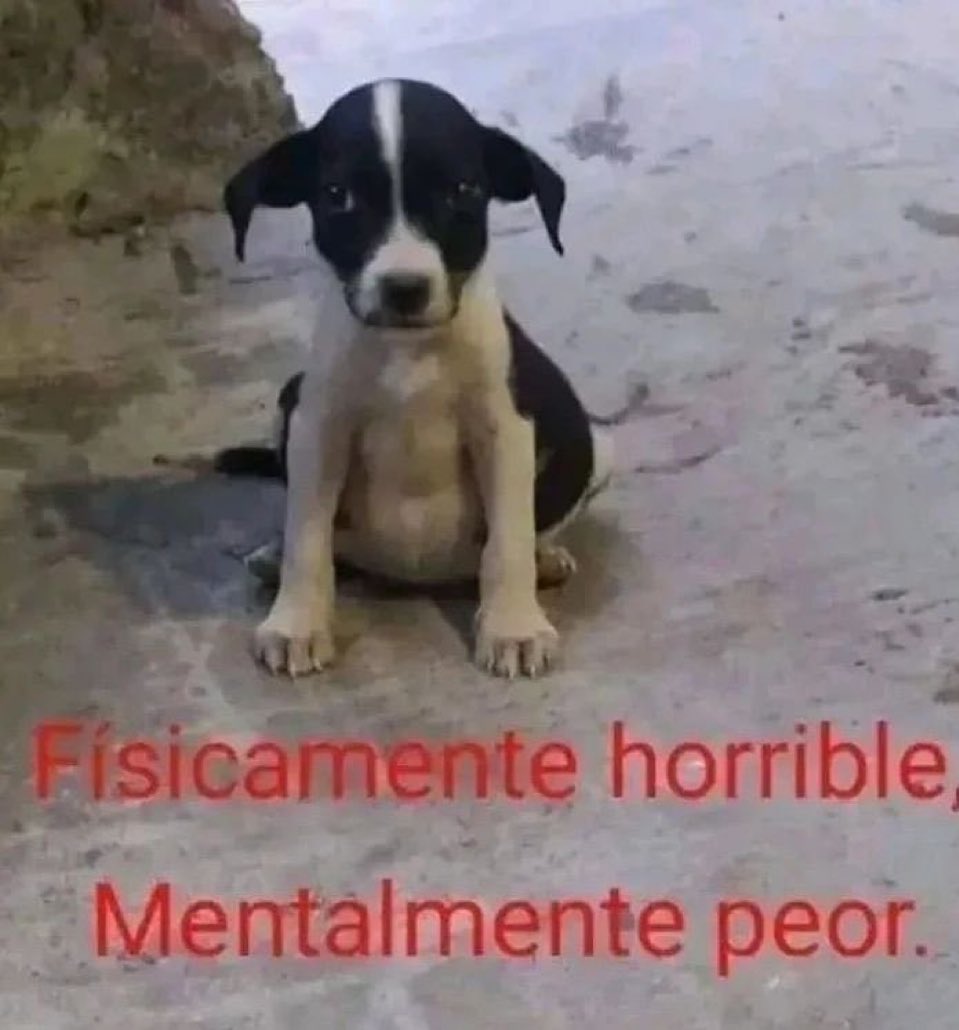 itextosoff's tweet photo. Mood https://t.co/yheHzsK0qQ