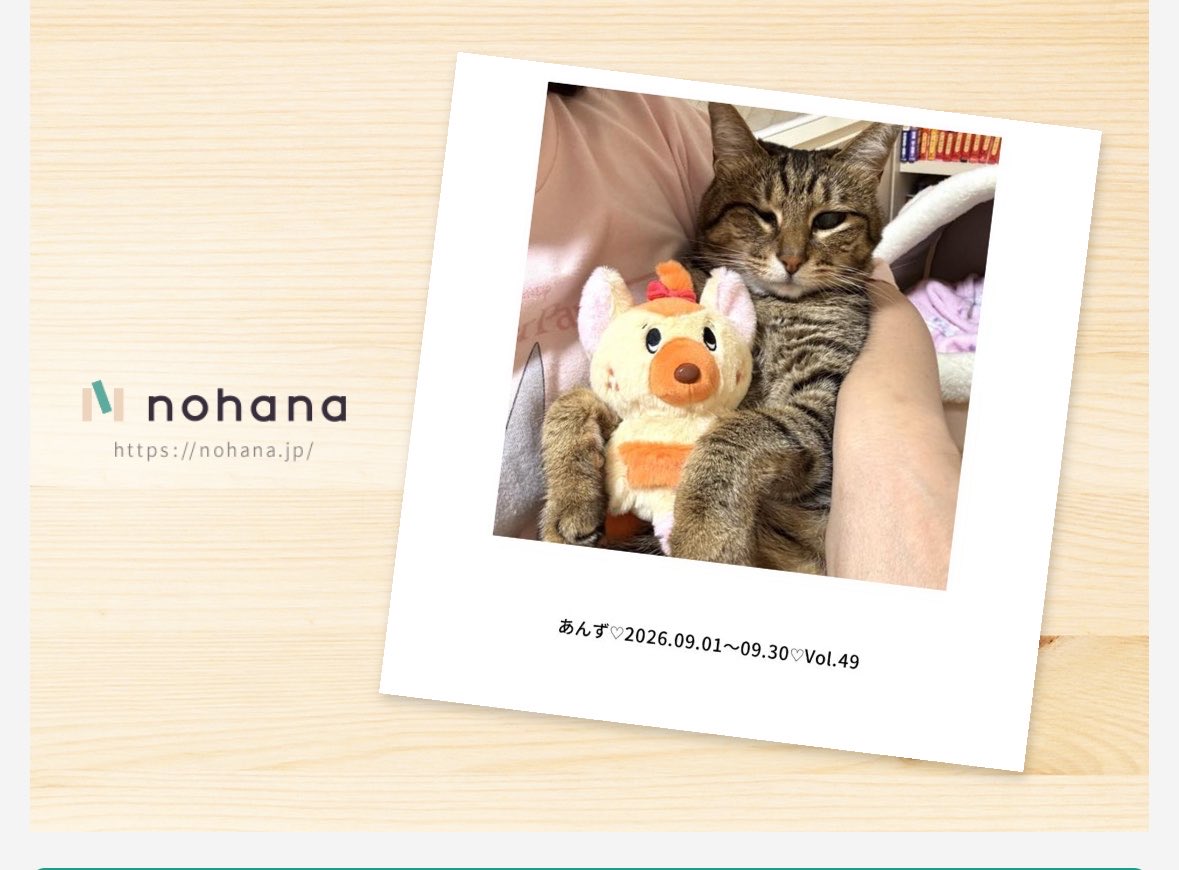 usausa777pyon's tweet photo. 今月の表紙はチュチュチュエラとあんちゃん😽💕🩰🧡

新規登録で招待コード：  Dk4fK2 を使うと、フォトアイテムが無料･割引になる特別なクーポンがもらえます。

↓ここからアプリをダウンロード！
https://t.co/g0IO3DncoL
#nohana https://t.co/Y8CoUQBhQn