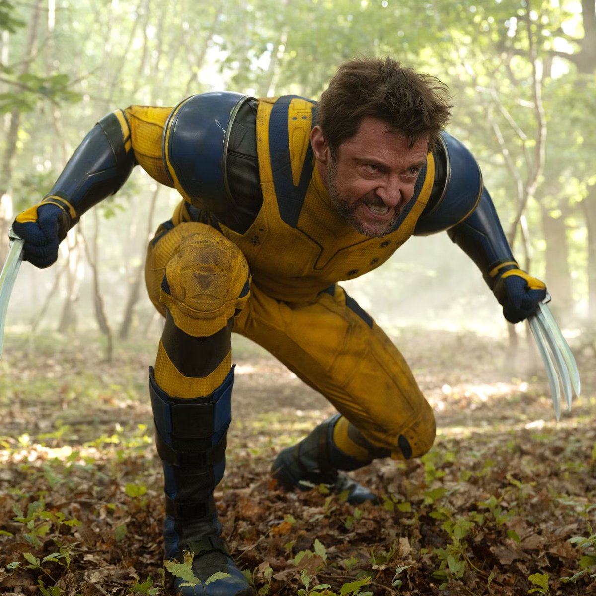 Kalshi's tweet photo. JUST IN: Hugh Jackman has a 91% chance of returning as Wolverine in Avengers Doomsday. https://t.co/m6DJCJlEQo