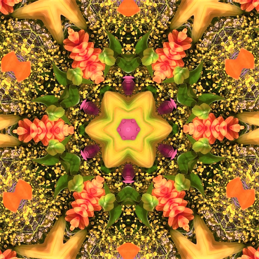GoetterfunkenDE's tweet photo. From the art series „Götterfunken (Nature Mandalas)“
#Götterfunken #NatureMandalas #SparkOfTheGods #Art #Photography #DigitalArt #PureNature #Flowers #Plants #Meditation #Yoga #Peace #Freedom #InwardReflection #Sacred #Life #Creation #Gaia #PrimordialSource #Love #Iam https://t.co/go4AcuFhLW