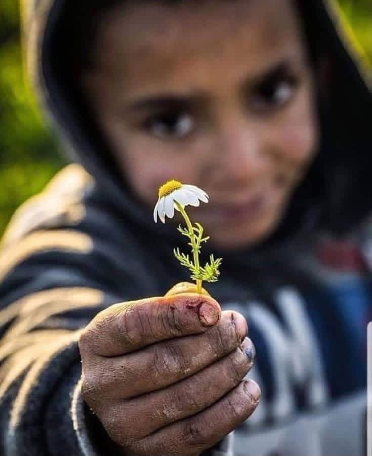 Astridueil's tweet photo. Those who can feel the suffering of others…

either they have experienced their own share of suffering,

or selfishness has failed to take hold of them https://t.co/se2CYtiqVP
