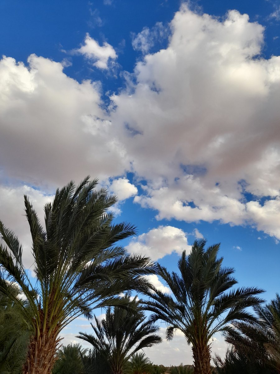 AlEmbarka's tweet photo. الدُّعاء طمأنينة، طمأنينة لا تتعلَّقُ بالإجابة بقدر ما تتعلق بالشعور الآمن بمعيَّة الله، ثمَّة شيءٌ في الدعاء يجعلنا نتعافى بمُجرد أن نرفعه إلى السَّماء.☁️🤍 https://t.co/mXkMxEyuRr
