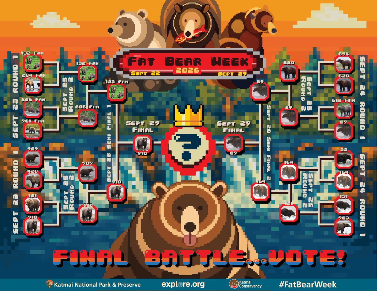 FavoriteBears's tweet photo. Fat Bear Week決勝戦🐻🔥🐻
投票は日本時間1:00〜
https://t.co/hDhnlJbJYu

910 対 89 Backpack 

まだ悩んでる‼️困ったー

#FatBearWeek2026 
#EXPLOREorg https://t.co/Tw5zbhMLsk