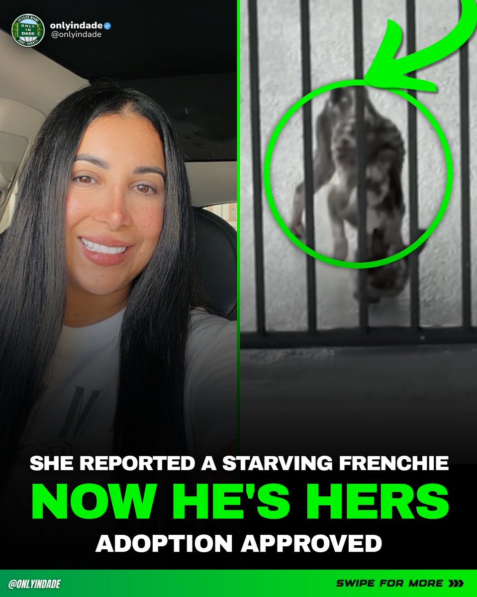 ONLYinDADE's tweet photo. She watched that balcony for two weeks and walked away with a dog. Best neighbor in Dade, no contest 🐶 #ONLYinDADE

This one’s all Rosalicia Bernal. She saw a Frenchie stuck outside on a downtown high rise and refused to scroll past it. She hit record, called 911, and kept pushing until someone came for him.

Because of her, Dior is out of there and healing. The City of Miami honored her for it, and now she gets to be the one who takes him home Oct. 10. New name coming soon, and yes, we want updates.

Thank you, Rosalicia. Miami needs more neighbors like you 💚