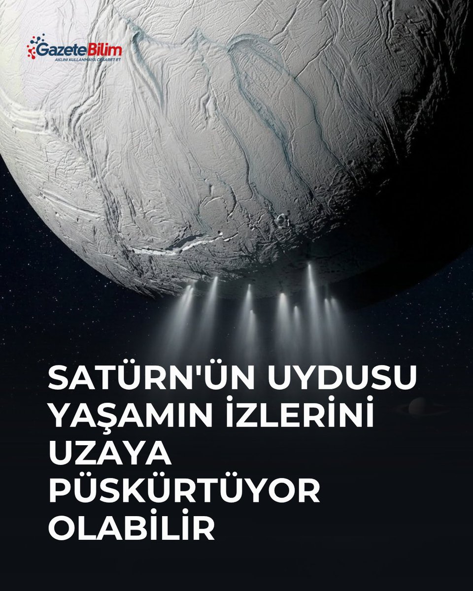 GazeteBilim's tweet photo. 📍Enceladus, Dünya dışı yaşam arayışında yeni bir ipucu verdi.

🗨Satürn’ün buzlarla kaplı uydusunun yeraltı okyanusundan gelen maddeler uzaya püskürürken bazı bileşenler buz parçacıklarında ayrışıp yoğunlaşıyor. Araştırmacılara göre yaşam varsa onun moleküler izleri de belirli buz tanelerinde yoğunlaşarak gelecekteki uzay araçları tarafından daha kolay tespit edilebilir.

Satürn’ün uydusu Enceladus, kalın buz kabuğunun altında küresel bir sıvı su okyanusu barındırıyor. Uydunun güney kutbundaki çatlaklardan okyanus kökenli su buharı ve buz parçacıkları uzaya doğru yüzlerce kilometre boyunca püskürüyor.

Science Advances dergisinde 25 Eylül’de yayımlanan yeni araştırma, bu püskürmelerin Dünya dışı yaşam arayışında beklenmedik bir avantaj sağlayabileceğini gösterdi.

Yaklaşık 1.000 buz tanesi incelendi
Frank Postberg liderliğindeki uluslararası araştırma ekibi, NASA’nın Cassini uzay aracının Kozmik Toz Analizörü ile kaydettiği yaklaşık 1.000 tuz bakımından zengin buz parçacığının verilerini inceledi.

Buz tanelerinin kimyasal olarak birbirinin aynı olmadığı ortaya çıktı. Bazıları sodyum klorür bakımından zenginken diğerlerinde karbonat, fosfat, hidroksit veya potasyum içeren tuzlar yoğunlaşıyordu.

Araştırmacıların önerdiği mekanizmaya göre süreç, yeraltı okyanusunun yüzeyinde başlıyor. Patlayan kabarcıklar küçük su damlacıkları oluşturuyor. Bu damlacıklar su buharıyla birlikte buz kabuğundaki çatlaklardan yukarı taşınırken yavaşça donuyor.

Donma sırasında farklı tuzlar birbirinden ayrışıyor. Donmuş damlacıklar çatlakların duvarlarına çarpıp parçalandığında ise farklı kimyasal bileşimlere sahip mikrometre büyüklüğünde buz taneleri oluşuyor ve uzaya püskürtülüyor.

Yaşamın izleri birkaç buz tanesinde yoğunlaşabilir
Araştırmanın Dünya dışı yaşam açısından en önemli sonucu burada ortaya çıkıyor. Aynı fiziksel süreç, tuzların yanı sıra organik molekülleri ve olası moleküler yaşam izlerini de belirli buz parçacıklarında yoğunlaştırabilir.

Bu nedenle Enceladus’ta yaşam varsa izleri bütün buz tanelerine eşit biçimde dağılmayabilir. Araştırmacılara göre gelecekte gönderilecek bir uzay aracının yaşamın moleküler işaretlerini bulabilmesi için çok sayıda buz tanesini tek tek analiz etmesi gerekebilir.

Araştırmanın başındaki Postberg, Enceladus’un aslında bilim insanlarının işinin bir bölümünü doğal olarak yaptığını belirtiyor: Okyanusun bileşenleri birbirinden ayrılıyor ve ayrı buz parçacıklarında yoğunlaşıyor.

Yaşam bulunduğu anlamına gelmiyor
Araştırma Enceladus’ta yaşam bulunduğunu göstermiyor. Ancak uydu, Dünya dışı yaşam arayışı açısından önemli bir avantaj sunuyor: Bilim insanlarının kilometrelerce kalınlıktaki buz kabuğunu delerek okyanusa ulaşması gerekmeyebilir.

Yeraltı okyanusundan gelen maddeler zaten doğal yollarla uzaya taşınıyor. Üstelik yeni araştırmaya göre Enceladus bu maddeleri yalnızca püskürtmüyor; bazılarını buz tanelerinde yoğunlaştırarak olası yaşam izlerinin tespit edilmesini de kolaylaştırıyor olabilir.

🔗https://t.co/QFyHQRA2ra