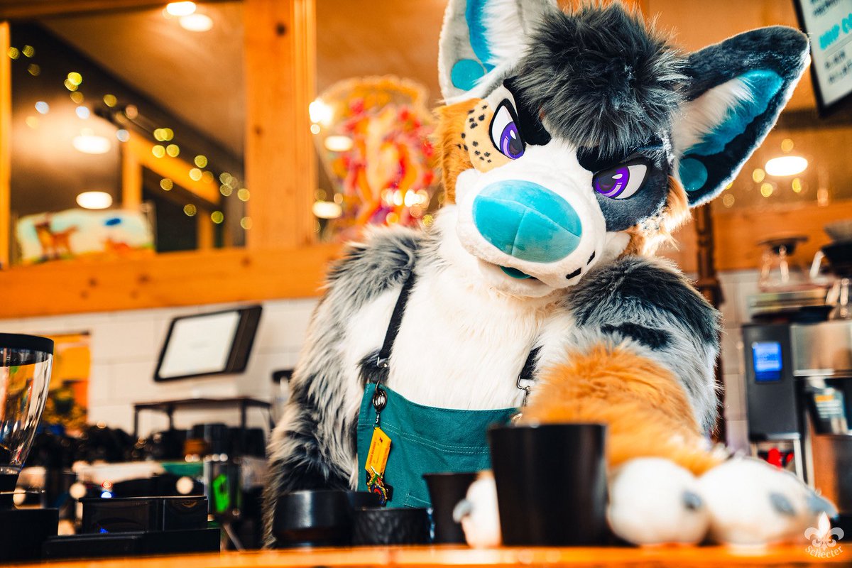 Sacred_Beans_Co's tweet photo. Happy National Coffee Day! ☕️🏆

We’re celebrating Coffee Day AND Sacred Beans heading into Golden Bean Americas with 15% off through Monday.

Use code GOLDENBEAN at checkout.

Thanks for supporting our coffee and cheering us on! ☕️🐾

📸: @SchecterWolfe 
🪡: @mixedcandy https://t.co/BG7kAlFimB