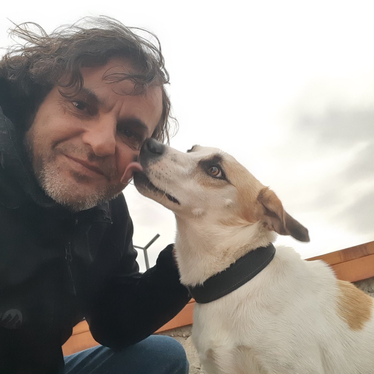 borikante's tweet photo. dillere düştük https://t.co/zmhaZzqch1