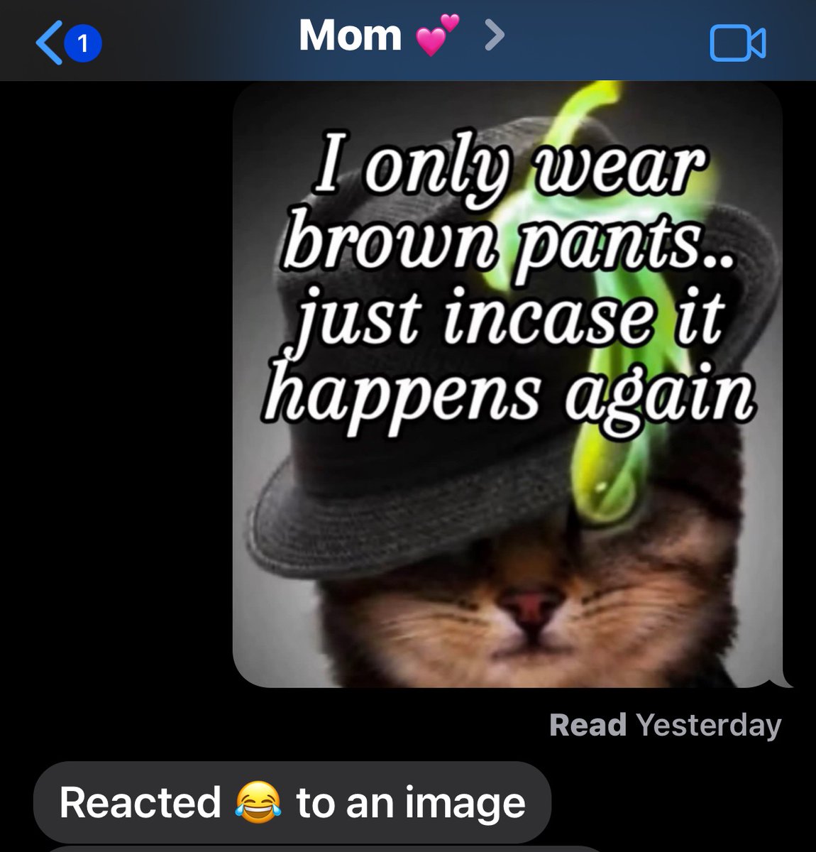 newsfromabug's tweet photo. i love sharing the internet with my mom https://t.co/5sXm394DKy