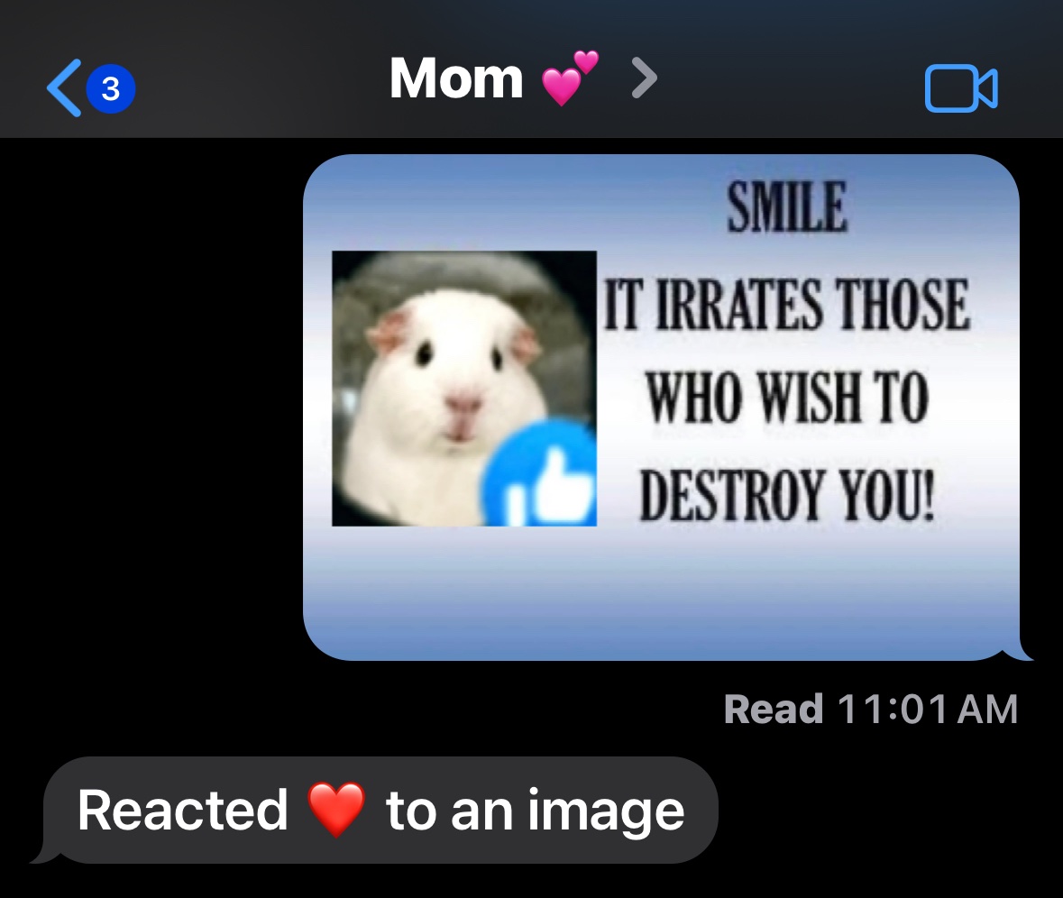 newsfromabug's tweet photo. i love sharing the internet with my mom https://t.co/5sXm394DKy