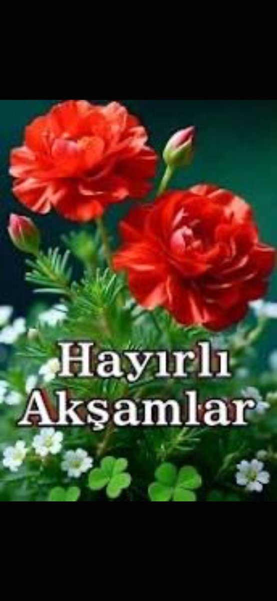 canirna's tweet photo. https://t.co/wBF6Lpe3Pu
