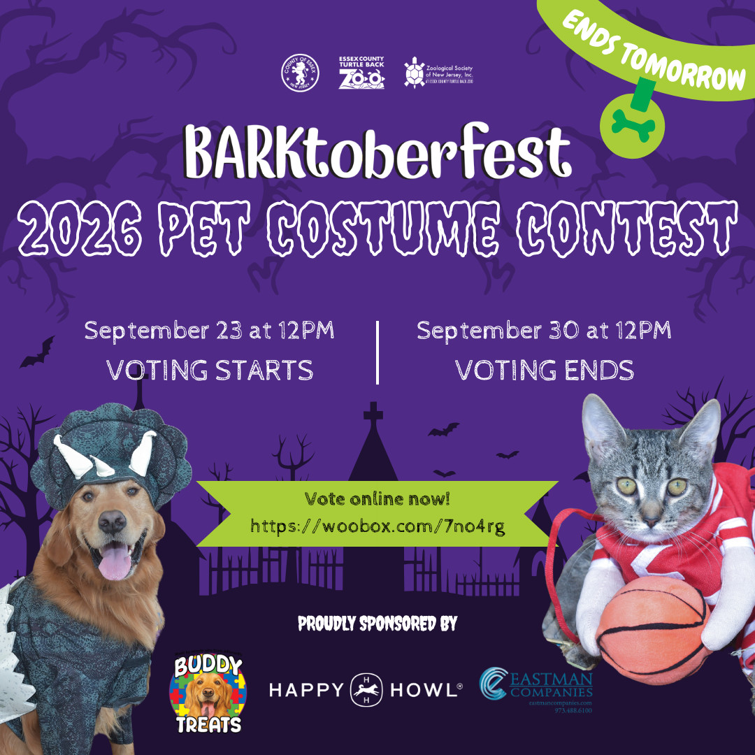 TurtleBackZoo's tweet photo. 🚨🐾 LAST CHANCE TO VOTE! 🐾🚨

Voting for the BARKtoberfest Pet Costume Contest ends tomorrow, Wednesday, September 30 at 12 PM! ⏰

You can vote once per day, so make sure you get your final vote in before the deadline. 🗳️🎃

👉 VOTE NOW: https://t.co/Te6OTRcgAp https://t.co/bLWYUTd4TT