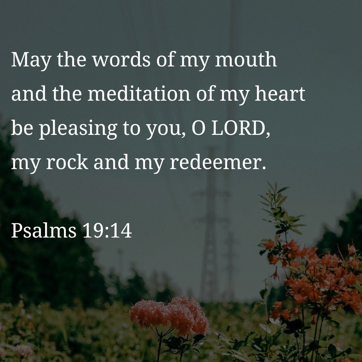 dailyverz's tweet photo. Psalms 19:14 #dailyverse https://t.co/SH8OTbxMKZ