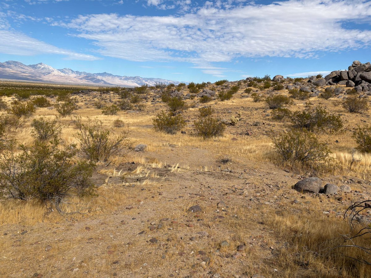 BLMca's tweet photo. Over 20 volunteers. Four illegal dump sites. 13.7 tons of trash = gone!

On National Public Lands Day, the Ridgecrest Field Office and Public Land Matters rallied volunteers for a massive clean-up effort. In just hours, the team removed 27,360 pounds of trash from public lands! https://t.co/3d4NOYfPhy