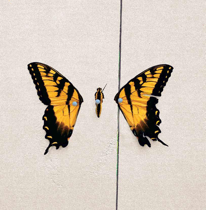 paramorebr's tweet photo. Álbum imaculado "Brand New Eyes" completa hoje 17 anos! Quem acompanhou esse lançamento já pode ser considerado ancião do fandom. Como você se sente? 🧙 https://t.co/iUgcnf1HRh