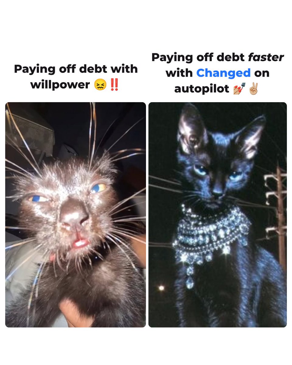 changedapps's tweet photo. why would u wanna be basic and neck deep in debt when u could get the Changed app and give ur neck some breathing room? 

#ChangedApp #DebtFree #Cats https://t.co/FoVeSPMCjV