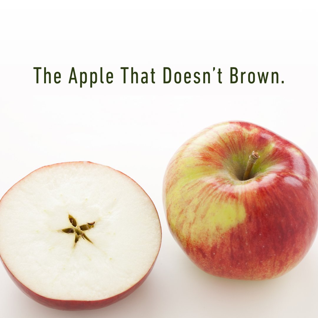 starkbros's tweet photo. Say goodbye to brown, soggy apple slices! 

The Cortland apple has a literal superpower: its crisp, snow-white flesh resists browning (oxidizing) far longer than almost any other apple on the planet. 

#cortland #appleseason #foodhacks #charcuterieboard https://t.co/7k0czPniAg
