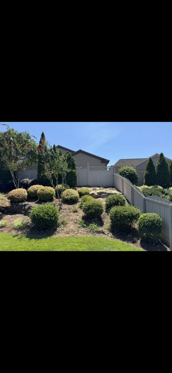 appalachian_of's tweet photo. Alpharetta, GA: two very large maple trees removed from a tight backyard surrounded by plants, fences, and a screened patio. Low-impact work; before photos were not captured. #AlpharettaGA #TreeRemoval https://t.co/FI5Y38Piid