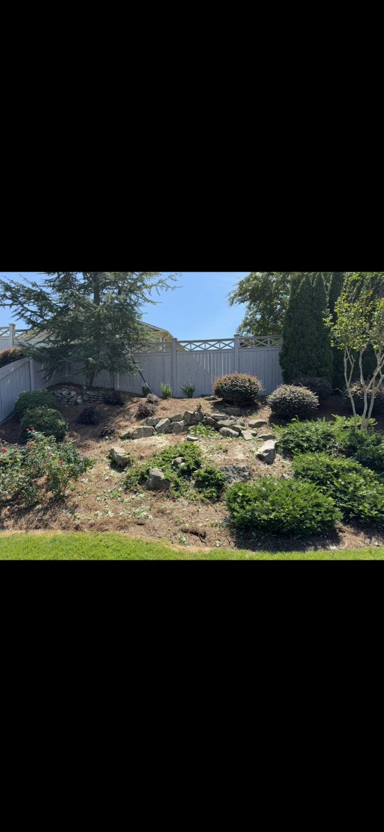 appalachian_of's tweet photo. Alpharetta, GA: two very large maple trees removed from a tight backyard surrounded by plants, fences, and a screened patio. Low-impact work; before photos were not captured. #AlpharettaGA #TreeRemoval https://t.co/FI5Y38Piid