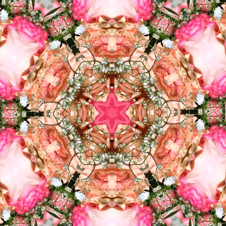 GoetterfunkenDE's tweet photo. From the art series „Götterfunken (Nature Mandalas)“

#Götterfunken #NatureMandalas #SparkOfTheGods #Art #Photography #DigitalArt #PureNature #Flowers #Plants  #Meditation #Yoga #Peace #Freedom #InwardReflection #Sacred #Life #Creation #Gaia  #PrimordialSource #Love #Iam https://t.co/mLRUfYixCz