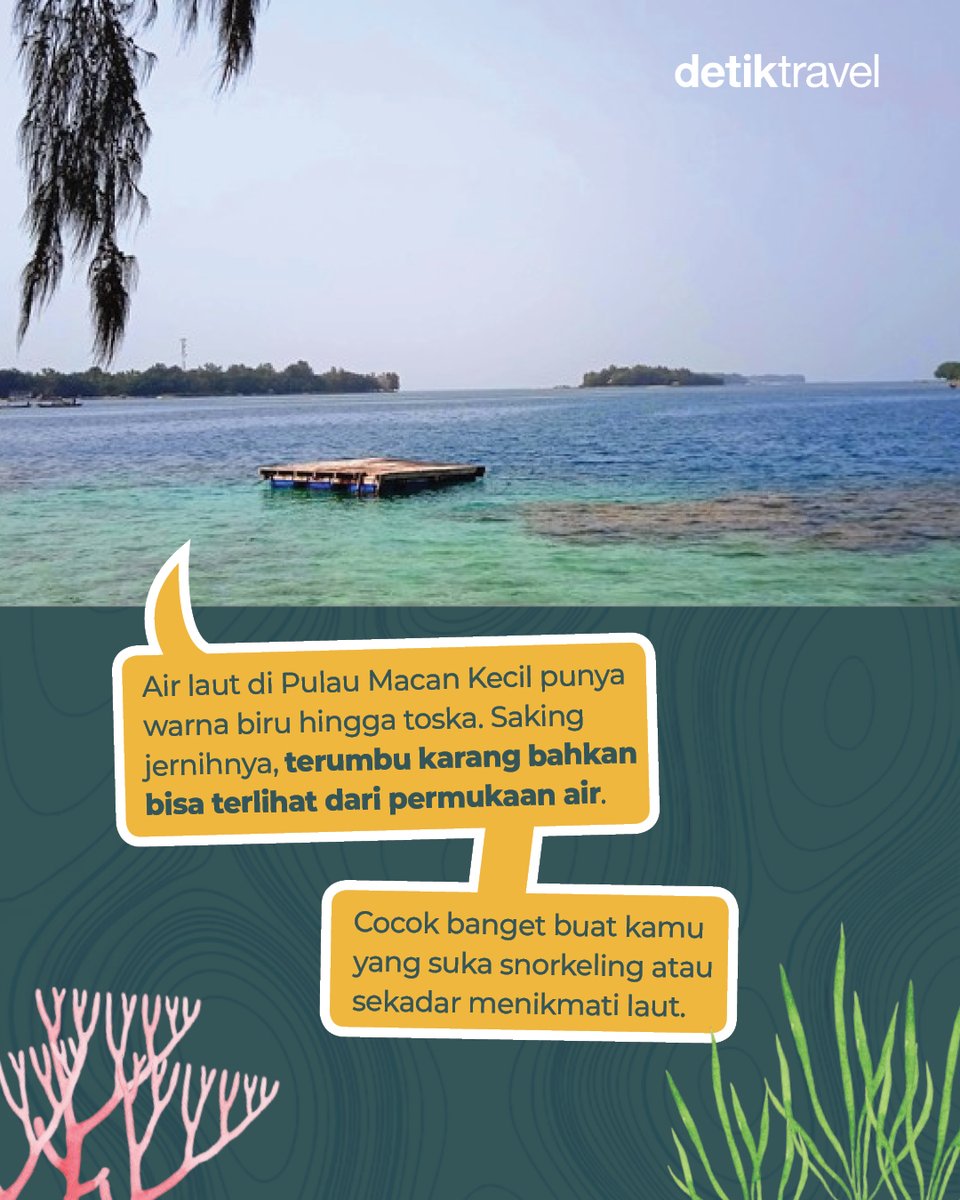 detikTravel's tweet photo. Pulau Macan di Kepulauan Seribu punya laut biru toska, suasana tenang, dan Pulau Macan Kecil yang cuma muncul saat air surut! 👀🌊

#detikTravel #PulauMacan #KepulauanSeribu #dTravelers https://t.co/D2bT7Fcwl6