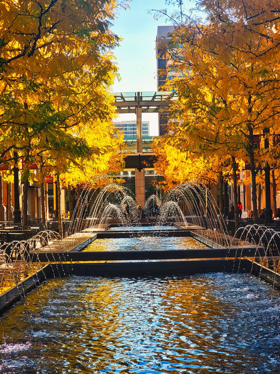 FlyCIRA's tweet photo. Your fall getaway starts at #FlyCIRA. 🍂✈️

🏙️ Chicago (ORD)
🤠 Dallas-Fort Worth (DFW)
🌎 Connect through either to keep the adventure going.
@AmericanAir is ready so pick your fall vibe and start packing! 😎

Where are you headed?

🎟️ https://t.co/1JLHmidyl9 https://t.co/q44L1Nt317