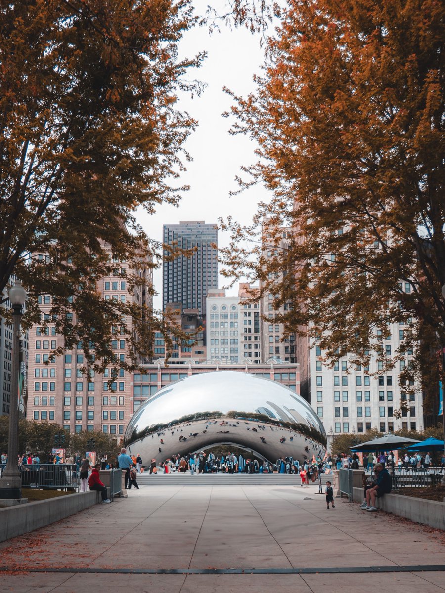 FlyCIRA's tweet photo. Your fall getaway starts at #FlyCIRA. 🍂✈️

🏙️ Chicago (ORD)
🤠 Dallas-Fort Worth (DFW)
🌎 Connect through either to keep the adventure going.
@AmericanAir is ready so pick your fall vibe and start packing! 😎

Where are you headed?

🎟️ https://t.co/1JLHmidyl9 https://t.co/q44L1Nt317