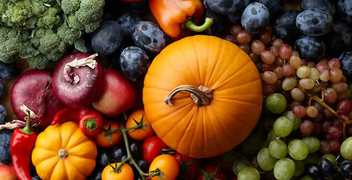 occidentbenaseg's tweet photo. Este otoño, llena tu mesa de alimentos frescos y nutritivos con las verduras y frutas propias de esta época del año. ¡Descubre cómo aprovecharlos para cuidar tu alimentación esta temporada! 🍂 https://t.co/jdF2MnkZtU https://t.co/GPB3GAFUHQ