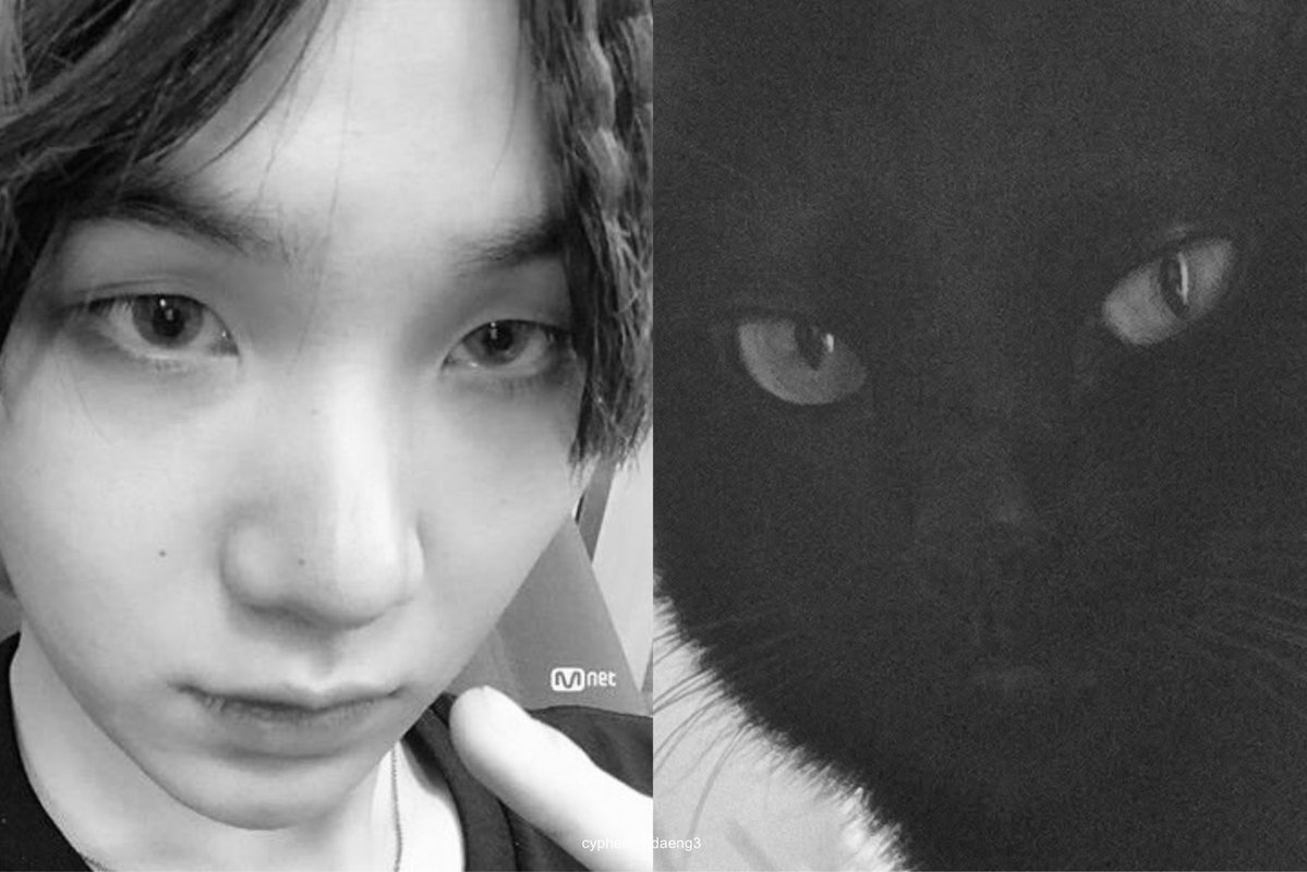 CYPHERS_DDAENG3's tweet photo. no dna test needed 🐈‍⬛ https://t.co/yTw85RBkII