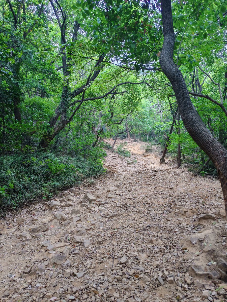 JulietPerrio's tweet photo. Cada sombra que me desvía del camino es solo una flecha que me ensea a apuntar más lejos maana. （译文：每一条偏离我路径的阴影，都只是一枚教会我明日瞄准更远方的箭矢） https://t.co/r7FMDctRBz