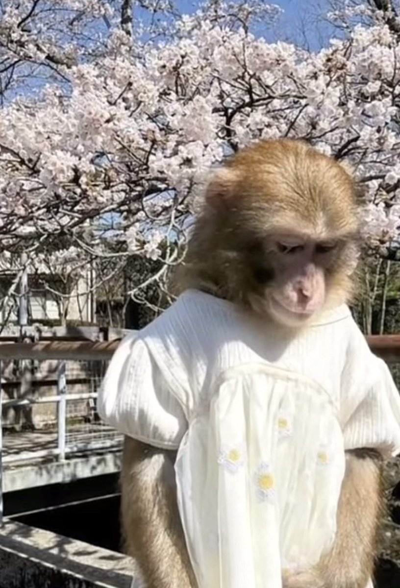 miraclecoaster's tweet photo. sorry if i exude evilness within the next six weeks . Writing an evil story. it happens sometimes. bless up https://t.co/3UUMbTCTsk