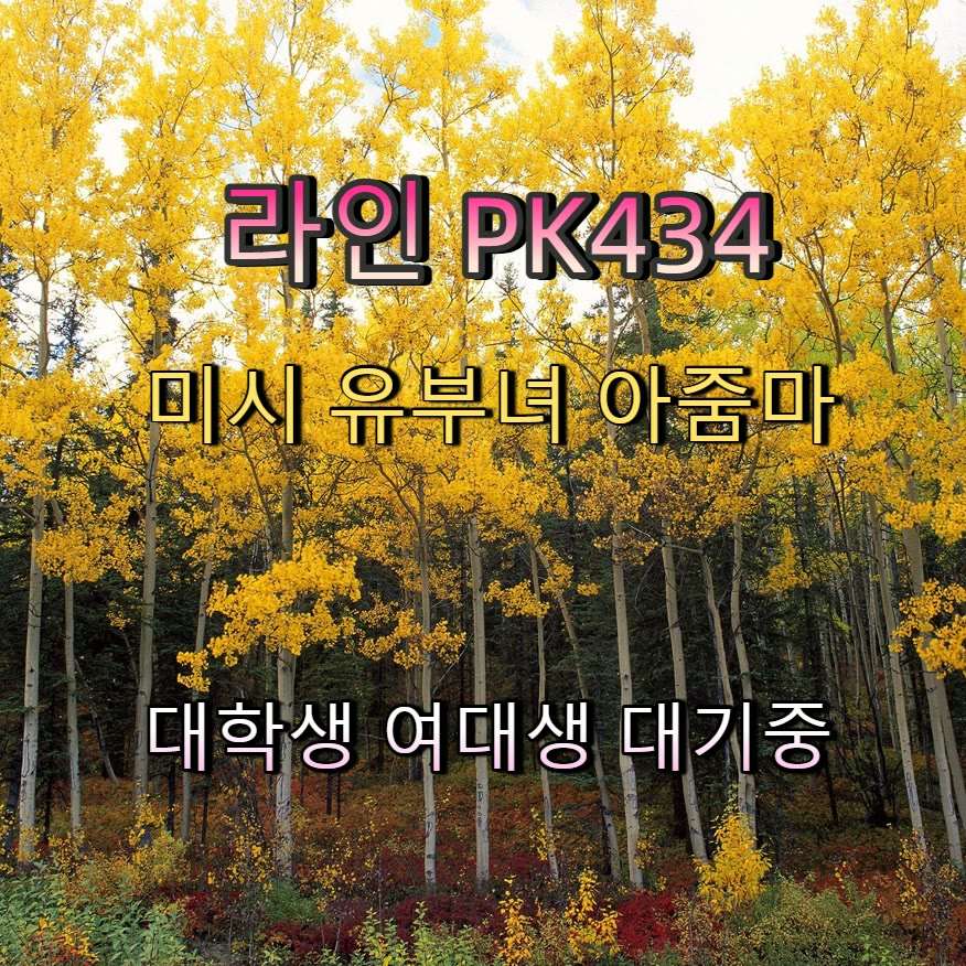 Herexos's tweet photo. 🍱🟩🔱 #서울 #서울ㅈㄱ #오프 #서울조건 #조건 #간단 #건오 #ㄱㄷ https://t.co/xwzxTq2YkI