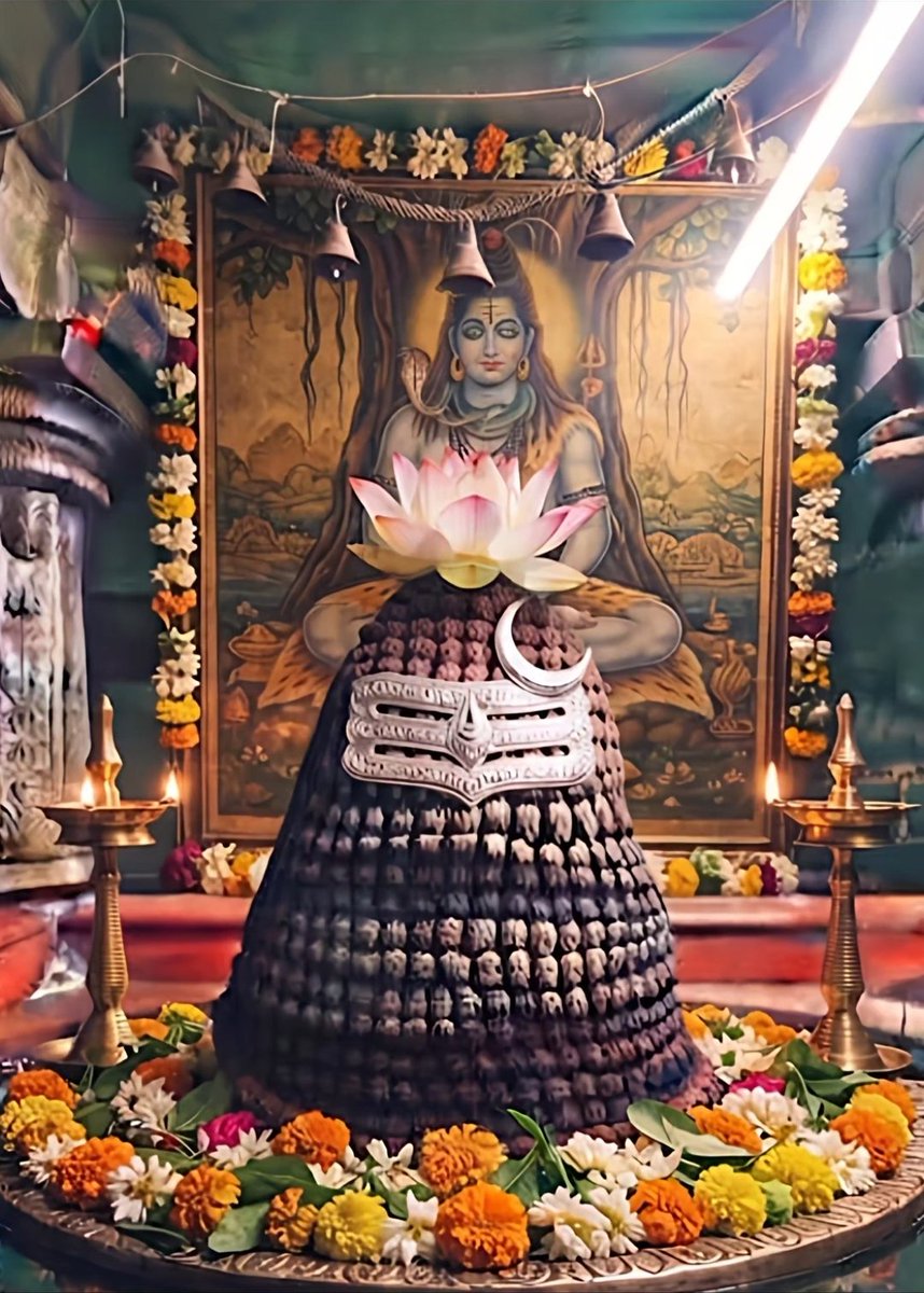 mohaanvankudoth's tweet photo. ఎంత వింత నాటకమయ్యా ఇది సాంబశివా...
నీవే సర్వస్వమని నమ్మి వచ్చిన వాడికి అడుగడుగునా అగ్నిపరీక్షలేల?...
ఎవరితోనూ పనిలేక, ఏ కోరికా లేక ఒంటరిగా బతికే వాడిని తీసుకెళ్లి ఈ కపట లోకపు రొచ్చులో పారేసి నవ్వుకుంటావా?...
​నరాల పట్టు సడలిపోయింది,
కండరాలు కరిగి ఎముకలు మిగిలాయి. https://t.co/FuGxACJTSR