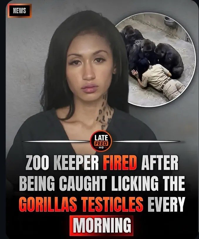 RoyIsThaTruth's tweet photo. THEM GORILLAS WAS HAVING A TIME IN THE MORNINGS!!🤣🤣🤣😭😭😭🤦🏾‍♂️ https://t.co/tdKRfqk6pu