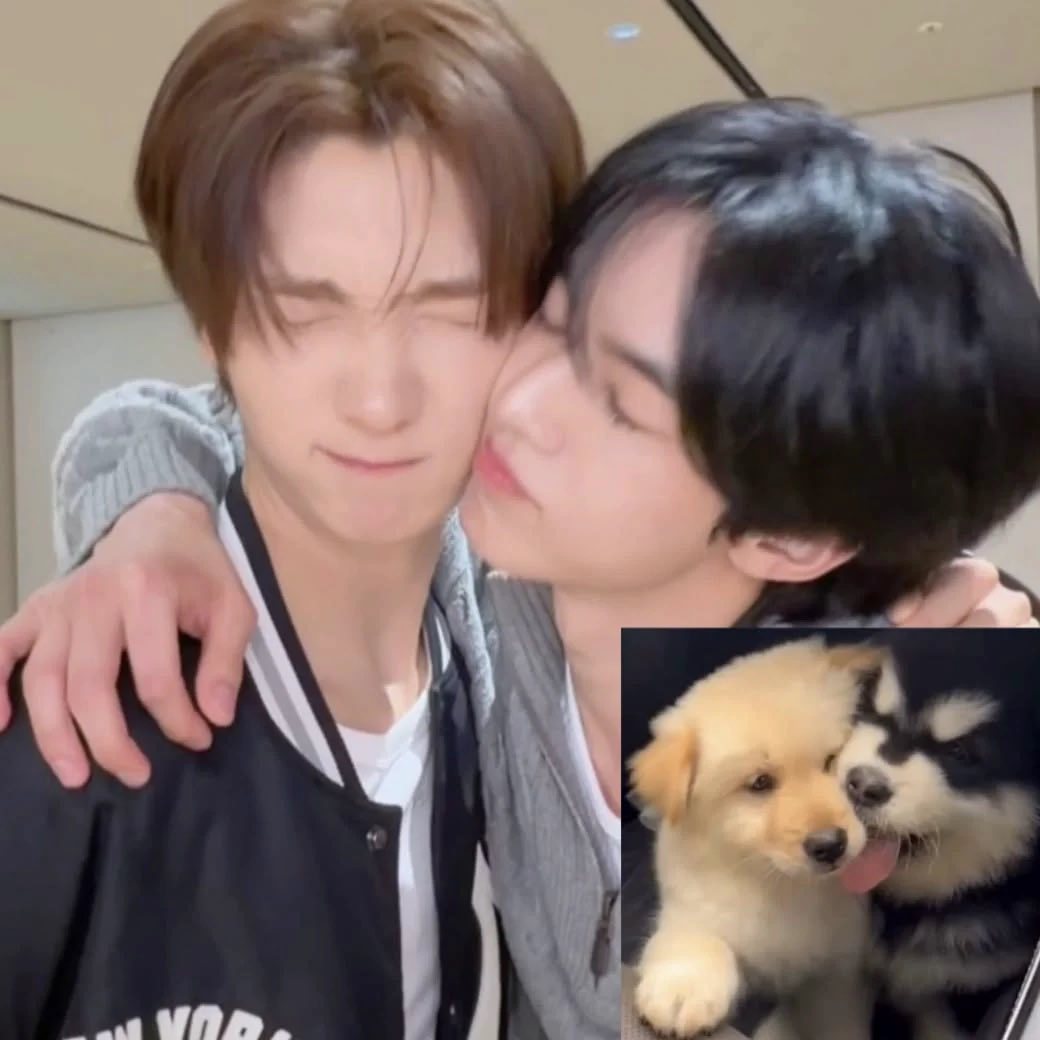 mochaddoi's tweet photo. hai :33
looking for sai #moots (˶ᵔ ᵕ ᵔ˶) ‹𝟹

about me!

𖦹 sher 23 she/her 
𖦹 ddoi biased, but also ppangtoz heh
𖦹 #1 last festival lover (self-proclaimed)
𖦹 sfb, carrd 🩷

likes &amp; shares are welcomed  ^__^

#saiville #twsville https://t.co/45BCSB5K0P